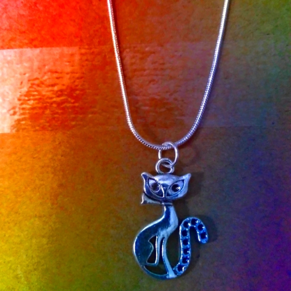 The Persian 925 Sterling silver necklace with charm